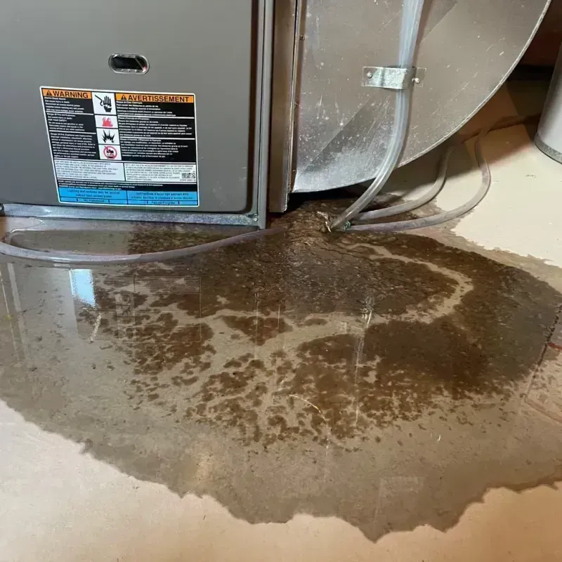 Appliance Leak Cleanup in Forsyth, IL